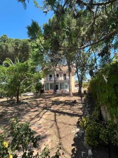 Chalet con vistas en parcela privada - 5