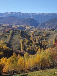 Alpine Escape Studios - Măgura - 9