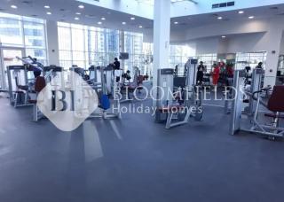 Bloomfileds Executive Stu in Hydra - 8