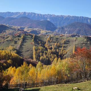 Alpine Escape Studios - Măgura - 7