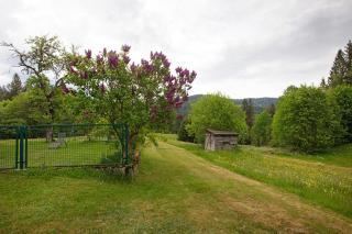 Haus Silvia - Todtmoos - 6