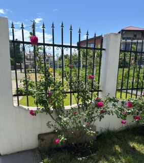 Villa Tasaul - Năvodari - 9