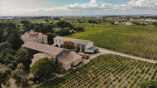 Charming House In An Organic Wine Estate - 9