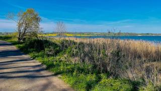 Little Cabin By Forest And Beach In Havhusene - Hornslet - 9