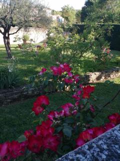 Villa en Luberon, Piscine, Parking gratuit - Bonnieux - 9