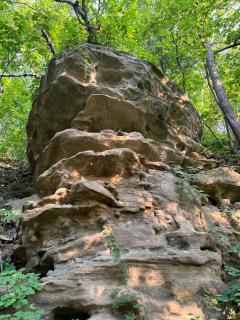 Bosco Bluff Cottage - Lansing - 5