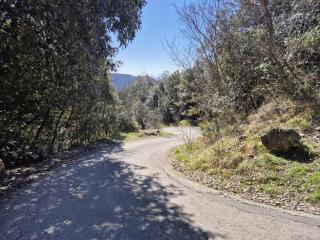 Lo Scoiattolo Felice Chalet - Casoli - 2