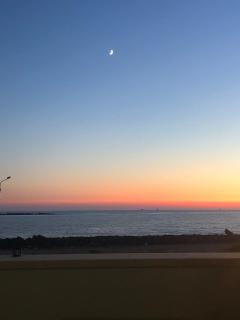 SIGIS HOUSE - Independent Apartment Sea View - Fiumicino - 1