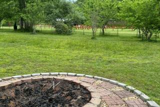 Cast a Line in the Toccoa River Make Smores by Starlight Pop Downtown in Minutes - Stay Play - Mineral Bluff - 6