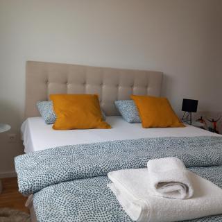 Apartment DIVA, private parking - Osijek - 1