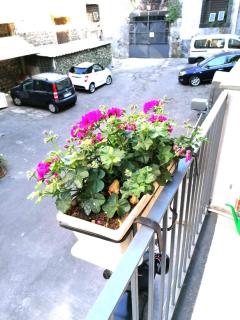La casa di orlando 2 - Catânia - 1