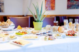 Parkhotel Styria - Steyr - 7