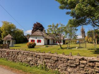 Rose Cottage - Scarriff - 9