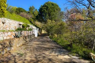 Lunara Forest Escape Pyrgos Skopelos - Karya - 7