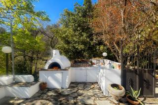 Lunara Forest Escape Pyrgos Skopelos - Karya - 8