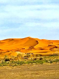 Bivouac la fibule des Dunes - Merzouga - 8