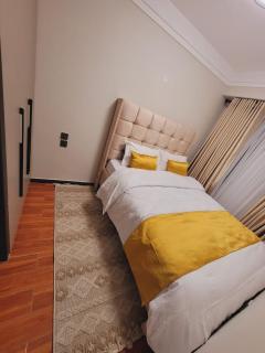 Prisca homestay Kindaruma homes apartments - Nairobi - 5