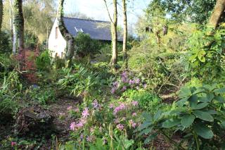 Gîte de l'Ermitage en Brocéliande 2 à 4 personnes - Mauron - 7