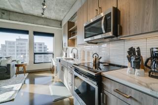 Sable 506 - One Bedroom - Minneapolis - 7