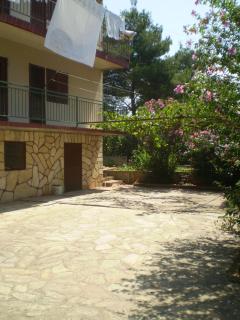 Toni - Brodarica - 7