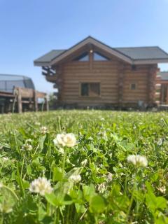 ECO HOUSES ART OF LIVING - Еко къщи изкуството да живееш - Pamporovo - 3
