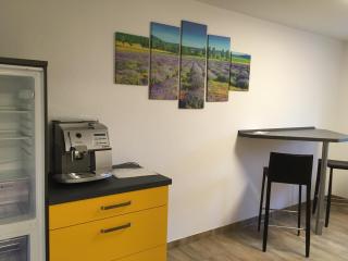 LUXUS City Appartement Stadtzentrum Chemnitz - Niederdorla - 9