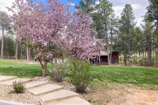 Poolhouse in the Pines - 7