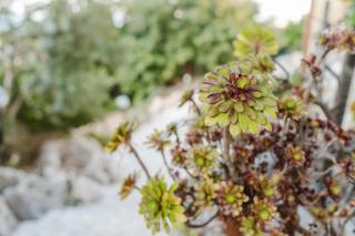 Casa Vacanze Valentina - 6