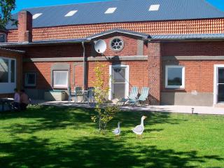 Bauernhof Urlaub FeWo Nr 2 - 2-Personen - Schlagsdorf - 9