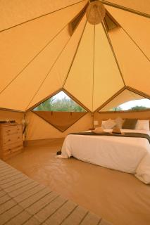 El Glamp de Vall d Or - Platja d'Aro - 5