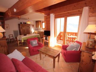 Appartement 4 pièces mezzanine avec balcon, équipements complets, animaux admis, parking couvert. - FR-1-293-64 - Villard-sur-Doron - 0