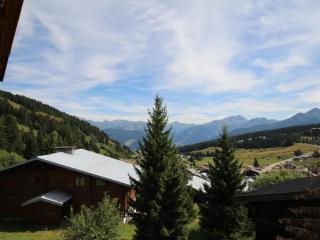 Les Saisies - Appartement rénové 2 pièces avec balcon et vue - 5 pers - FR-1-293-270 - Hauteluce - 1