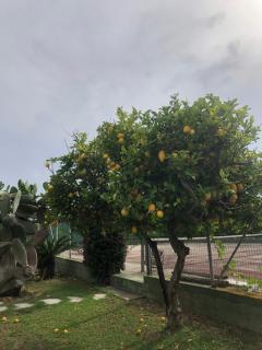 Filippa Beach Experience, sul mare - Scicli - 9