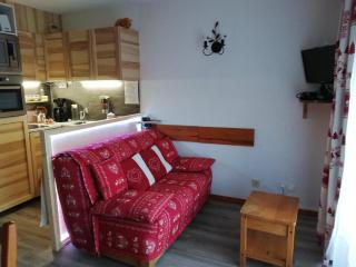 Studio Les Pralyssimes - Taninges - 0