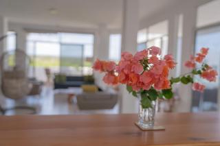 Modern loft with ocean and bay view - Puerto Ayora - 2