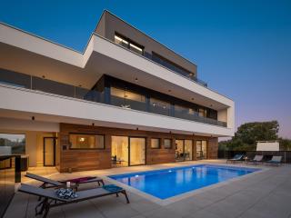 Villa Old Olive VI - Vodnjan - 0