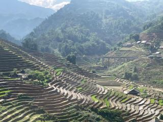 Flaco Hostel - Trekking, Tour, Bus ticket - Sapa - 4