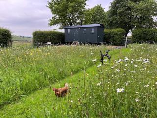 1 Bed in Hayfield 87592 - Mellor - 5