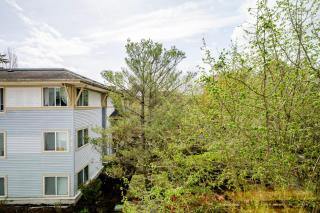 Blueground Univ Dist pet area elev nr UW SEA-865 - 6