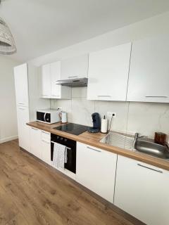 Soh Rent Appartement Schiltigheim wifi RDC - Schiltigheim - 3