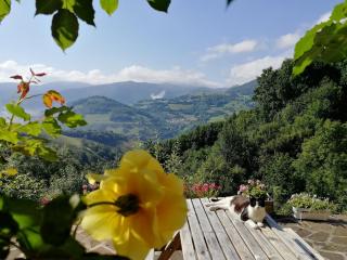 Stunning farmhouse in Pyrenees - Ituren - 8