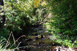 Argyll Mill - Colintraive - 6