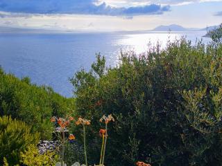 House on Punta - Vela Luka - 4