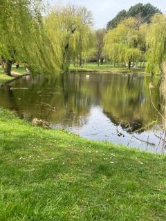 Vienna Kurzzeitmiete - 1