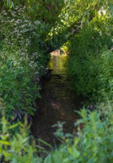 Woods Meadow Glamping - Peaceful days, Relaxing stay - Family & Pet Friendly Lodges - Woodland Escape - 3