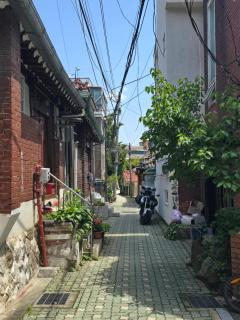 Turtle Stay Seoul -종로,혜화,서울대병원 - Seoul - 8