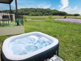 Havre de Paix et Lavandes - Très Calme - Salle de jeux - Jacuzzi Chauffé - Idéalement placée - Aucun vis à vis - Savasse - 3