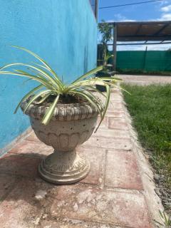 Casa Adianchi - La Punta - 7