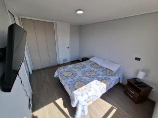 Depto 1 habitación Barrio Italia - 2402 - Santiago - 7