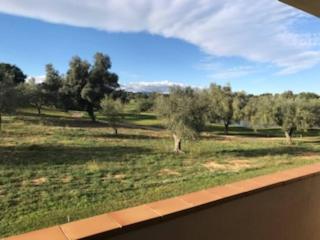 Appartement vinaros proche de la mer - Sant Jordi - 9